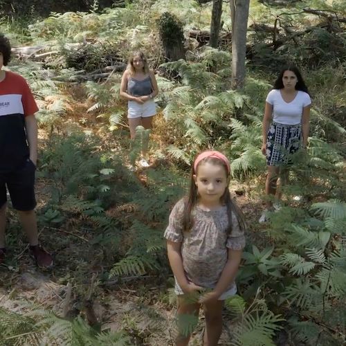 Afbeelding van Klimaatactie: Portugese kinderen slepen Nederland - en 32 andere landen - voor de rechter