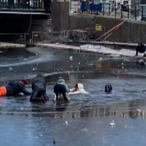 Afbeelding van Reddingsactie op ijs bewijst: de meeste Amsterdammers deugen