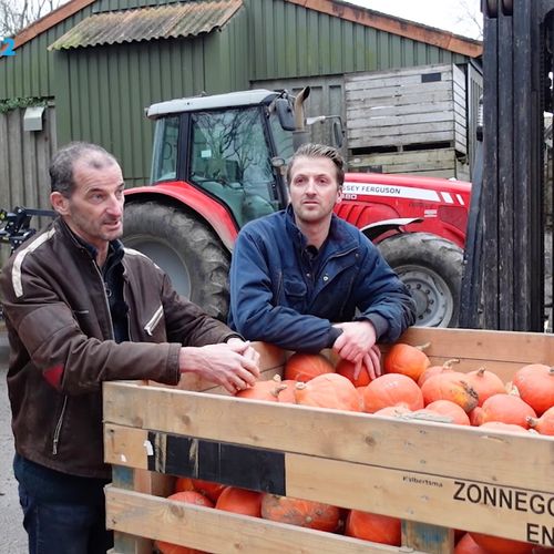Afbeelding van Vegan-boeren die NoShit groenten telen uitgeroepen tot Agrarisch Ondernemer van 2022
