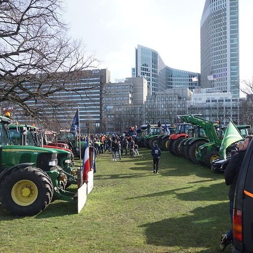 Afbeelding van Als de boeren Nederland weer overhoop zetten, pak ze dan op hun mestfraude