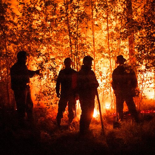 Afbeelding van Bosbranden zorgen voor recorduitstoot CO2