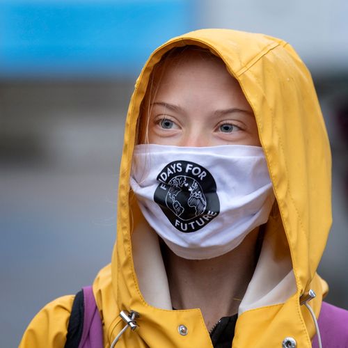 Afbeelding van Greta Thunberg richt pijlen op plannen voor biomassacentrale in Diemen