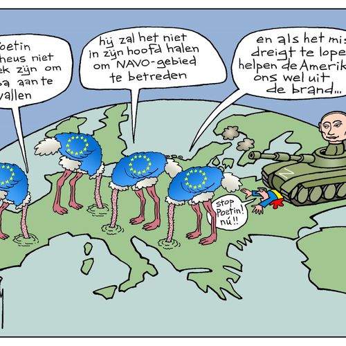 Afbeelding van Europese struisvogelpolitiek