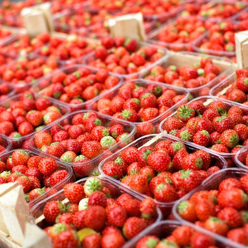 Afbeelding van Nederlandse aardbeien zes keer zo giftig als ander fruit