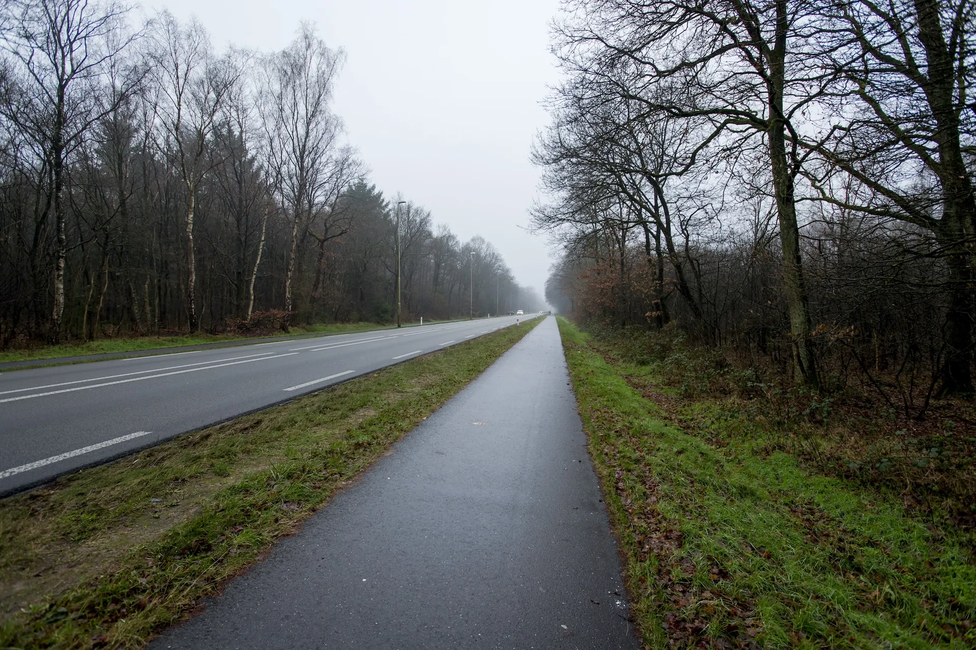 Afbeelding van Een meisje van zeventien